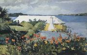 Winslow Homer Flower Garden and Bungalow,Bermuda (mk44) china oil painting reproduction